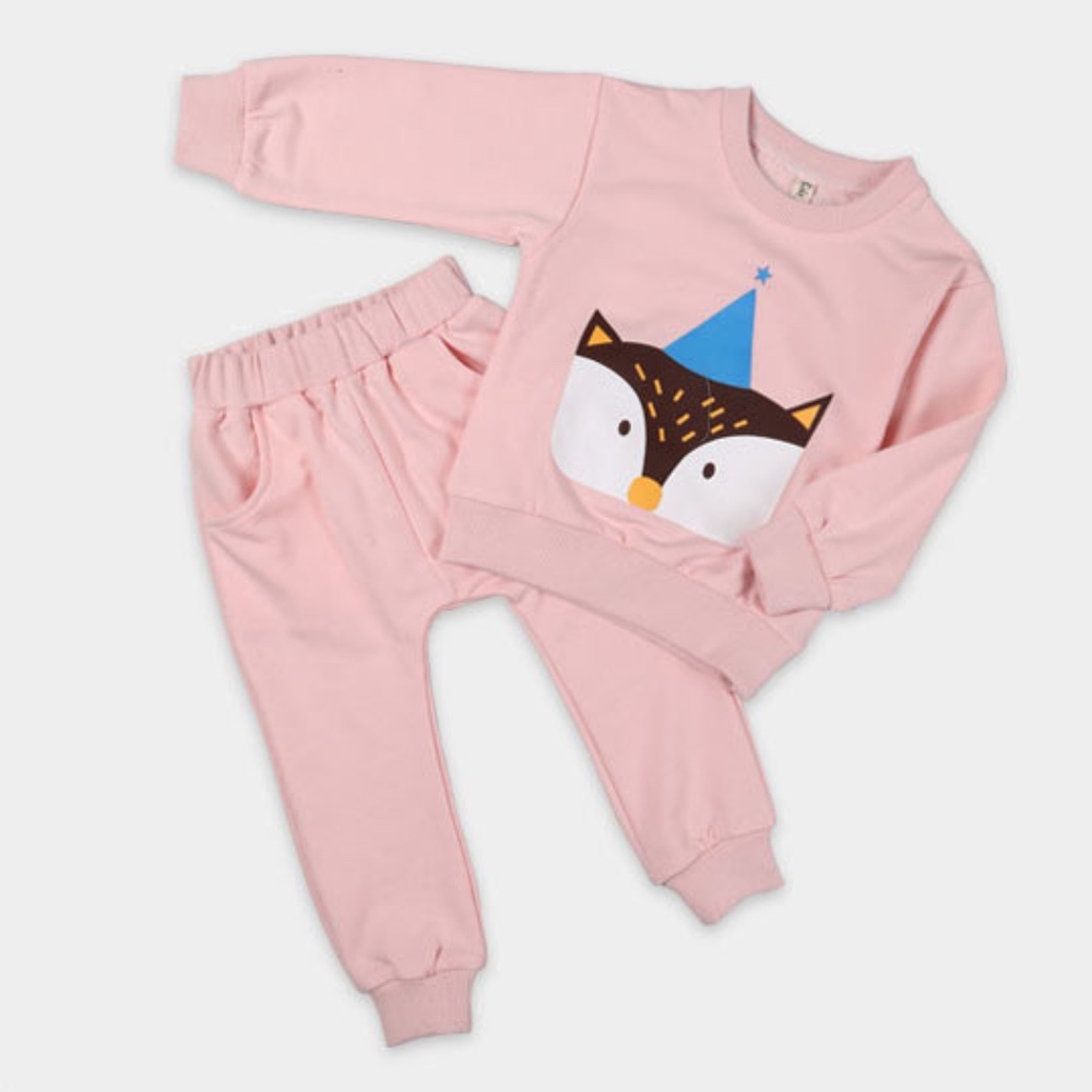 Toddler Girls Clothing Set 2 Piece Pink Outfits